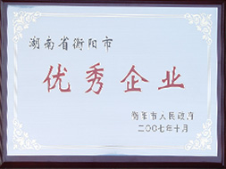 2007年湖南省衡陽(yáng)市優(yōu)秀企業(yè).JPG