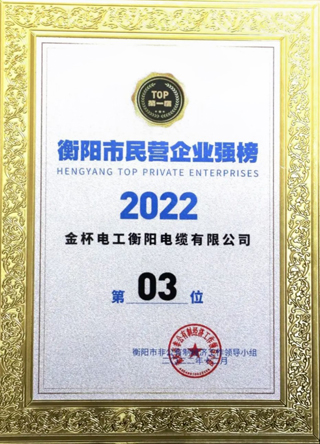 07 衡陽(yáng)民營(yíng)企業(yè)強(qiáng)榜2022年第3位.jpg