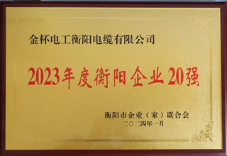 2023年度衡陽(yáng)企業(yè)20強(qiáng).jpg